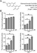 Graphical abstract: A small molecule targeting glutathione activates Nrf2 and inhibits cancer cell growth through promoting Keap-1 S-glutathionylation and inducing apoptosis