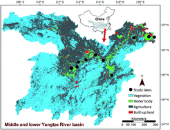 Graphical abstract: Environmental factors, but not abundance and diversity of nitrifying microorganisms, explain sediment nitrification rates in Yangtze lakes