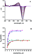 Graphical abstract: Atypical antioxidant activity of non-phenolic amino-coumarins