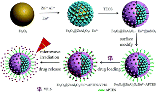 Graphical abstract: Preparation of multifunctional Fe3O4@ZnAl2O4:Eu3+@mSiO2–APTES drug-carrier for microwave controlled release of anticancer drugs