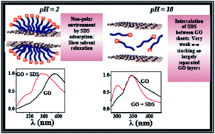 Graphical abstract: Effect of an anionic surfactant (SDS) on the photoluminescence of graphene oxide (GO) in acidic and alkaline medium