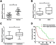 Graphical abstract: Retracted Article: Long non-coding RNA PVT1 facilitates cell proliferation by epigenetically regulating FOXF1 in breast cancer