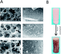 Graphical abstract: Improving osteogenesis of PLGA/HA porous scaffolds based on dual delivery of BMP-2 and IGF-1 via a polydopamine coating