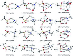 Graphical abstract: Hydration of the methanesulfonate–ammonia/amine complex and its atmospheric implications