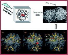 Graphical abstract: Microwave-assisted hydrothermal synthesis of chrysanthemum-like Ag/ZnO prismatic nanorods and their photocatalytic properties with multiple modes for dye degradation and hydrogen production