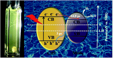 Graphical abstract: Multilayer core–shell MoS2/CdS nanorods with very high photocatalytic activity for hydrogen production under visible-light excitation and investigation of the photocatalytic mechanism by femtosecond transient absorption spectroscopy