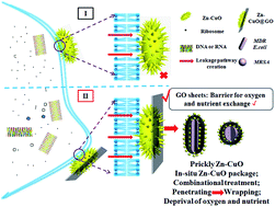 Graphical abstract: Bacteria killing in ICU associated infections: antibacterial nanosheets as disinfectant