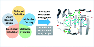 Graphical abstract: Biological activity and interaction mechanism of the diketopiperazine derivatives as tubulin polymerization inhibitors