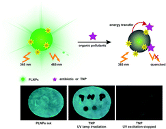 Graphical abstract: A label-free and sensitive photoluminescence sensing platform based on long persistent luminescence nanoparticles for the determination of antibiotics and 2,4,6-trinitrophenol