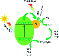 Graphical abstract: Pt nanoparticles decorated rose-like Bi2O2CO3 configurations for efficient photocatalytic removal of water organic pollutants