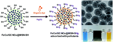 Graphical abstract: Highly stable mesoporous silica nanospheres embedded with FeCo/graphitic shell nanocrystals as magnetically recyclable multifunctional adsorbents for wastewater treatment