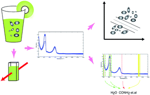 Graphical abstract: Recognition of osmotolerant yeast spoilage in kiwi juices by near-infrared spectroscopy coupled with chemometrics and wavelength selection