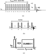 Graphical abstract: Phase structure and dynamics of polystyrene/poly(vinyl methyl ether) blend studied using solid-state NMR