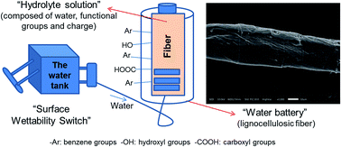 Graphical abstract: Role of a “surface wettability switch” in inter-fiber bonding properties