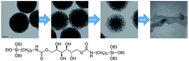 Graphical abstract: Synthesis of water-degradable silica nanoparticles from carbamate-containing bridged silsesquioxane precursor