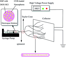 Graphical abstract: Fabrication of aqueous-based dual drug loaded silk fibroin electrospun nanofibers embedded with curcumin-loaded RSF nanospheres for drugs controlled release