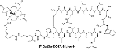Graphical abstract: Adventures in radiosynthesis of clinical grade [68Ga]Ga-DOTA-Siglec-9