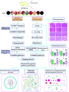 Graphical abstract: Exploring the biomarkers and therapeutic mechanism of kidney-yang deficiency syndrome treated by You-gui pill using systems pharmacology and serum metabonomics