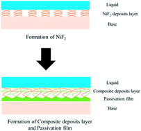 Graphical abstract: Corrosion behavior of 904L austenitic stainless steel in hydrofluoric acid