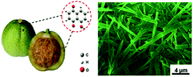 Graphical abstract: Renewable juglone nanowires with size-dependent charge storage properties