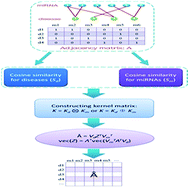 Graphical abstract: Prediction of microRNA–disease associations with a Kronecker kernel matrix dimension reduction model