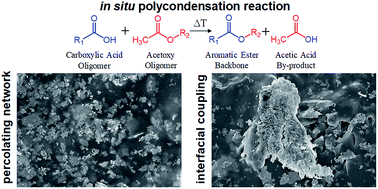 Graphical abstract: Nanofiller-conjugated percolating conductive network modified polymerization reaction characteristics of aromatic thermosetting copolyester resin