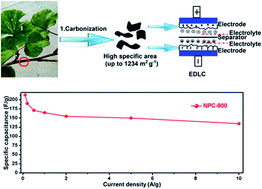 Graphical abstract: Facile synthesis of high-surface-area nanoporous carbon from biomass resources and its application in supercapacitors