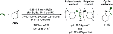 Graphical abstract: Copolymerization of CO2 and epoxides mediated by zinc organyls