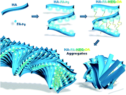 Graphical abstract: Hyaluronan-based graft copolymers bearing aggregation-induced emission fluorogens