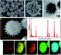 Graphical abstract: Synthesis of manganese phosphate hybrid nanoflowers by collagen-templated biomineralization