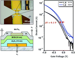 Graphical abstract: Polymer/oxide bilayer dielectric for hysteresis-minimized 1 V operating 2D TMD transistors