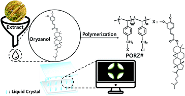 Graphical abstract: Vertical liquid crystal orientation of phytochemical-based oryzanol modified polystyrene