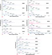 Graphical abstract: Isolation, differentiation and biodiversity of ureolytic bacteria of Qatari soil and their potential in microbially induced calcite precipitation (MICP) for soil stabilization