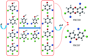 Graphical abstract: Mechanism and thermal rate constants for complete series reactions of bromochlorophenols with H