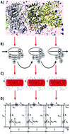 Graphical abstract: A multi-scale approach to describe electrical impulses propagating along actin filaments in both intracellular and in vitro conditions