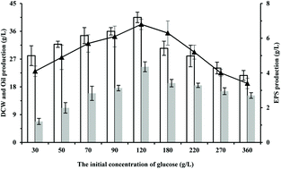 Graphical abstract: Co-production of microbial oil and exopolysaccharide by the oleaginous yeast Sporidiobolus pararoseus grown in fed-batch culture