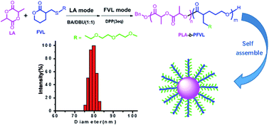 Graphical abstract: Amphiphilic diblock copolymer of hydrophilic-functionalized lactone and lactide via switchable organocatalytic polymerization