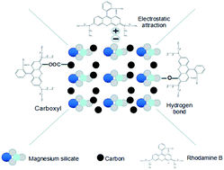 Graphical abstract: Preparation of magnesium silicate/carbon composite for adsorption of rhodamine B