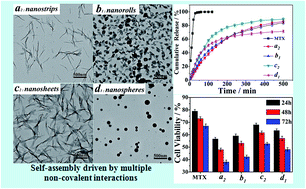 Graphical abstract: Novel morphologies of poly(allyamine hydrochloride)–methotrexate nanoassemblies for methotrexate delivery