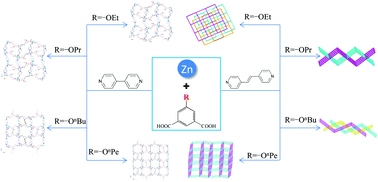 Graphical abstract: Assembly of a series of zinc coordination polymers based on 5-functionalized isophthalic acids and dipyridyl