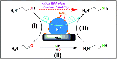 Graphical abstract: Effect of Re promoter on the structure and catalytic performance of Ni–Re/Al2O3 catalysts for the reductive amination of monoethanolamine