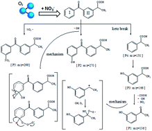 Graphical abstract: Ozonation of ketoprofen with nitrate in aquatic environments: kinetics, pathways, and toxicity