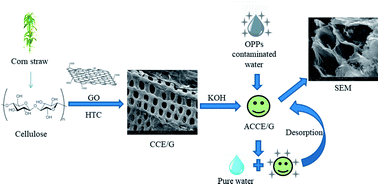 Graphical abstract: A carbonised sieve-like corn straw cellulose–graphene oxide composite for organophosphorus pesticide removal