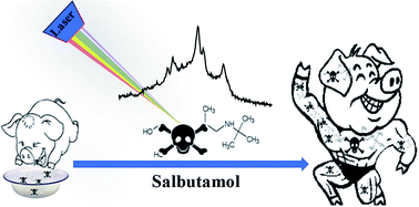 Graphical abstract: An azo-coupling reaction-based surface enhanced resonance Raman scattering approach for ultrasensitive detection of salbutamol