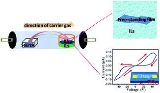 Graphical abstract: Fabrication of a cobalt phthalocyanine free-standing film on an ionic liquid surface for memory device applications