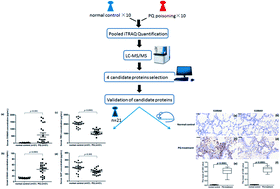 Graphical abstract: Identification of potential serum biomarkers of acute paraquat poisoning in humans using an iTRAQ quantitative proteomic