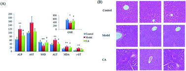 Graphical abstract: High-throughput system metabolomics method reveals new mechanistic insights of chlorogenic acid by using liquid chromatography coupled to high resolution mass spectrometry