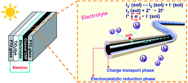 Graphical abstract: Coaxial heterojunction carbon nanofibers with charge transport and electrocatalytic reduction phases for high performance dye-sensitized solar cells