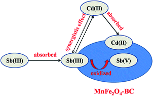 Graphical abstract: Simultaneous removal of Sb(iii) and Cd(ii) in water by adsorption onto a MnFe2O4–biochar nanocomposite