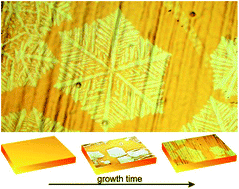 Graphical abstract: Impact of the in situ rise in hydrogen partial pressure on graphene shape evolution during CVD growth of graphene